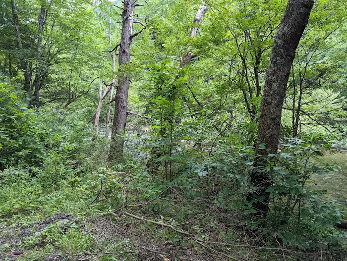 Blue Bend Campground 5