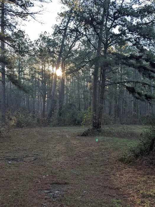 Shell Oil Road Hunter Camp 1