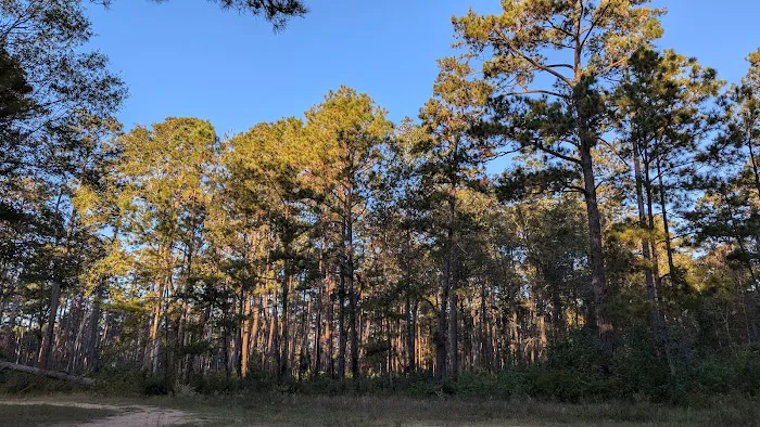 Shell Oil Road Hunter Camp 2