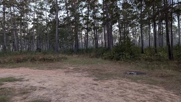 Shell Oil Road Hunter Camp 7