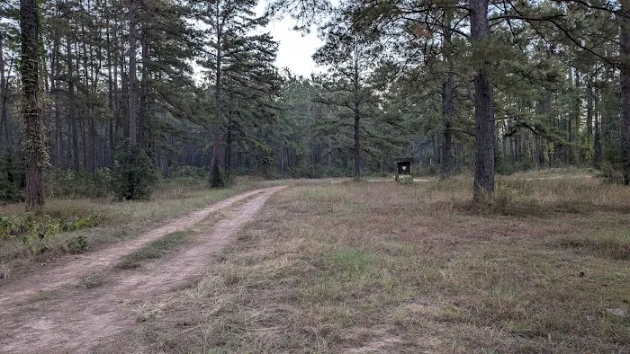 Shell Oil Road Hunter Camp 8