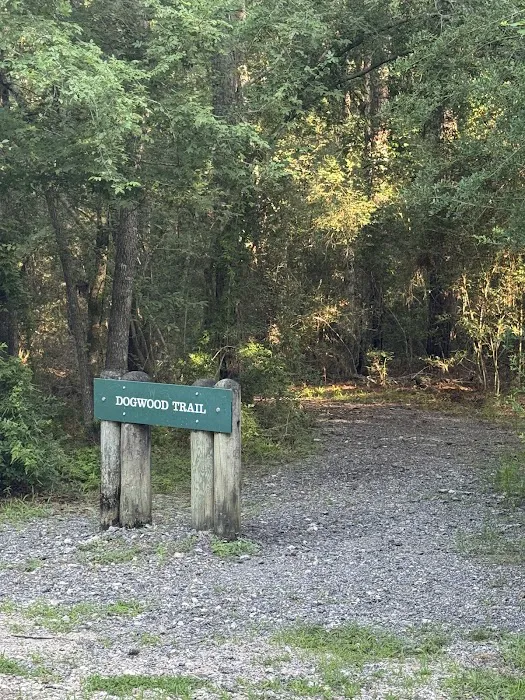 RV spots 1-6 0