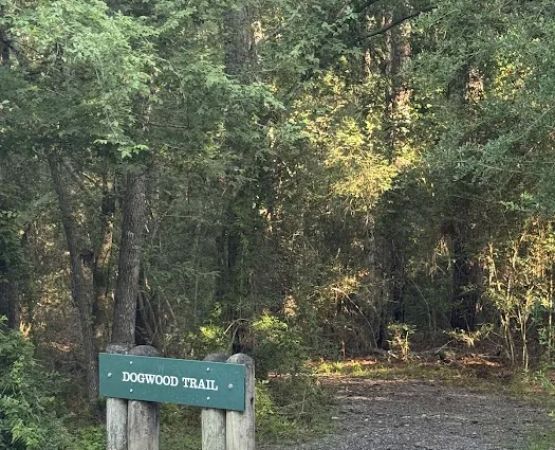 RV spots 1-6
