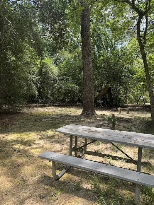 Camp Grounds Magnolia 1