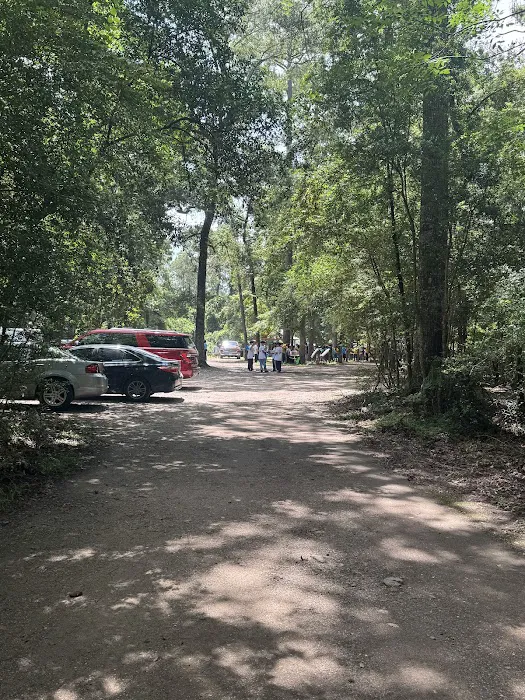 Camp Grounds Magnolia 3
