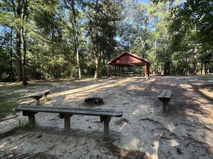 Ironwood Camping Area 4