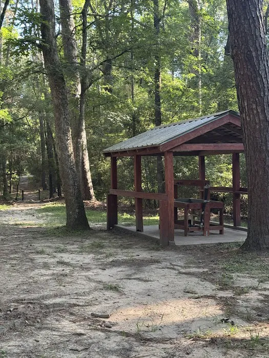 Ironwood Camping Area 2