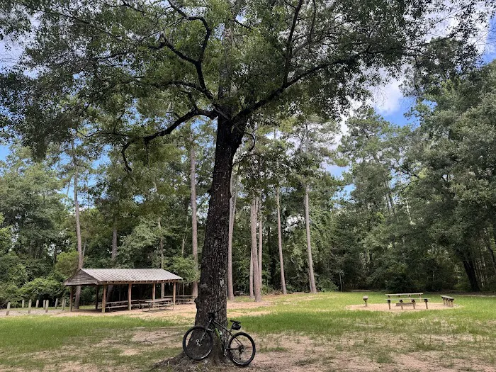 Chinquapin Group Camping 0
