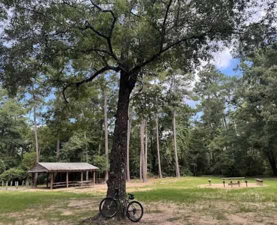 Chinquapin Group Camping