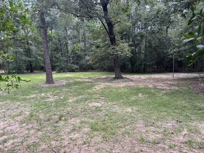 Chinquapin Group Camping 1
