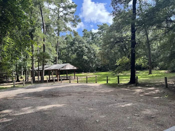 Chinquapin Group Camping 2