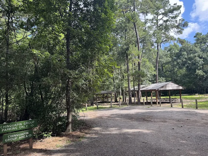 Chinquapin Group Camping 3