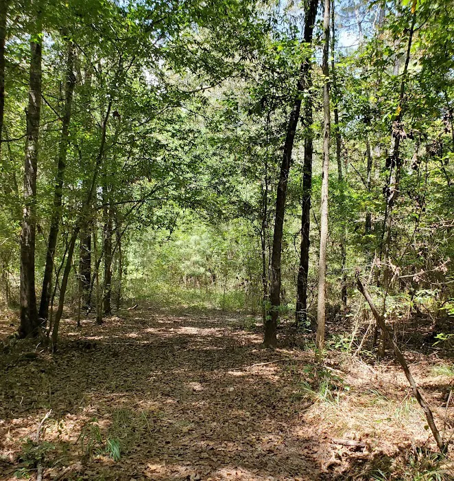 Camp Krenari 5