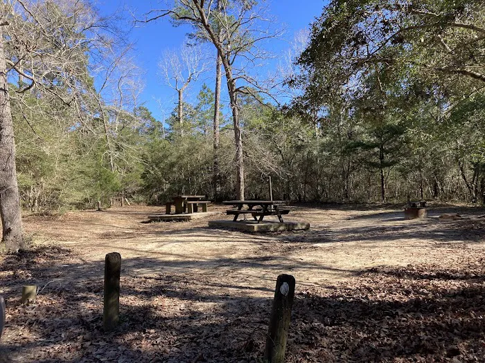 Double Lake Campground 8