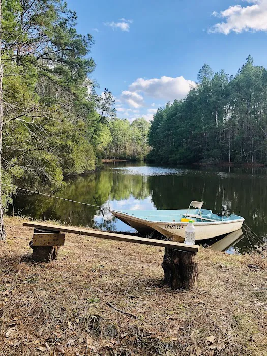 Shabbat Retreat | Glamping Park & Event Venue 8