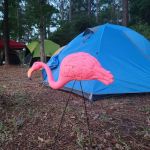 Camp Strake Campsite 3