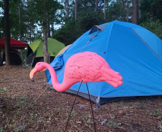 Camp Strake Campsite 3