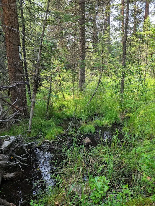 Lake Creek Campground 6