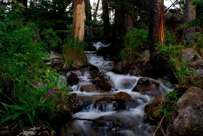 Lake Creek Campground 2