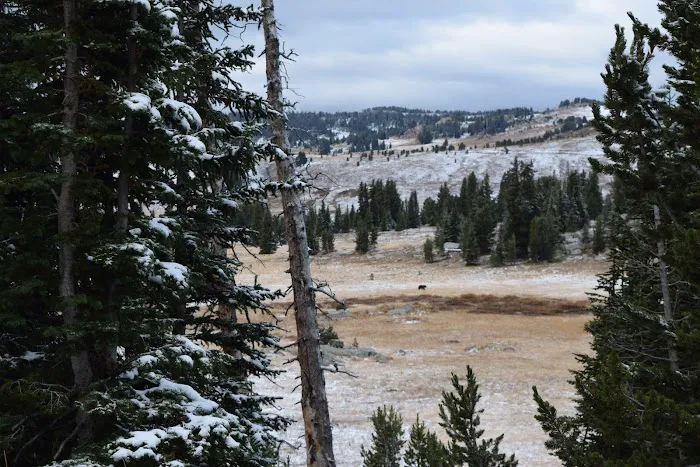 Island Lake Campground 9