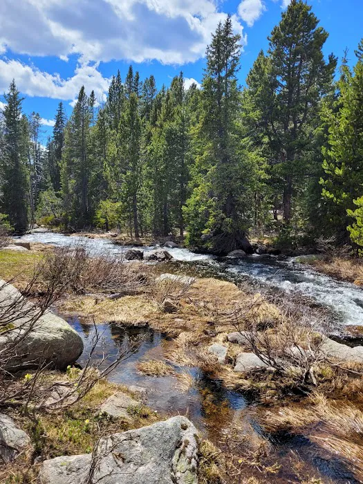 Island Lake Campground 4