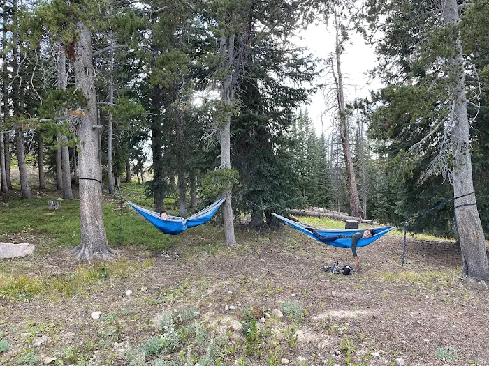 Island Lake Campground 2