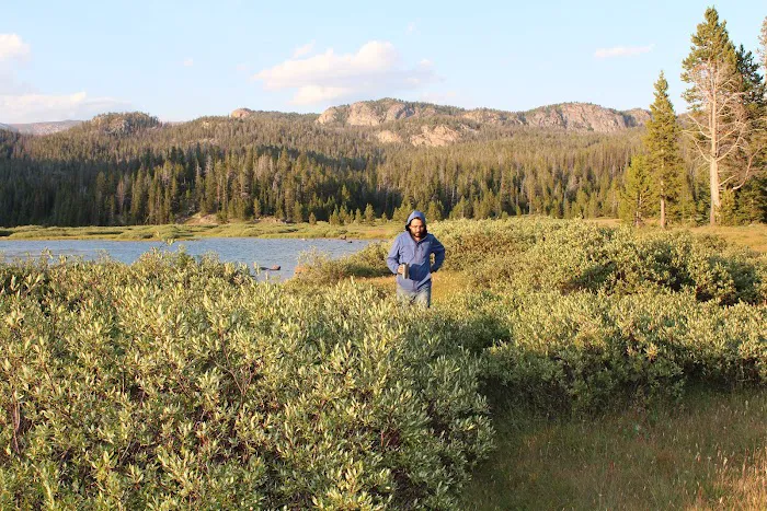 Beartooth Lake Campground 3
