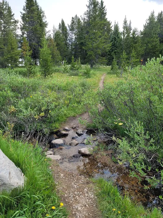 Beartooth Lake Campground 2