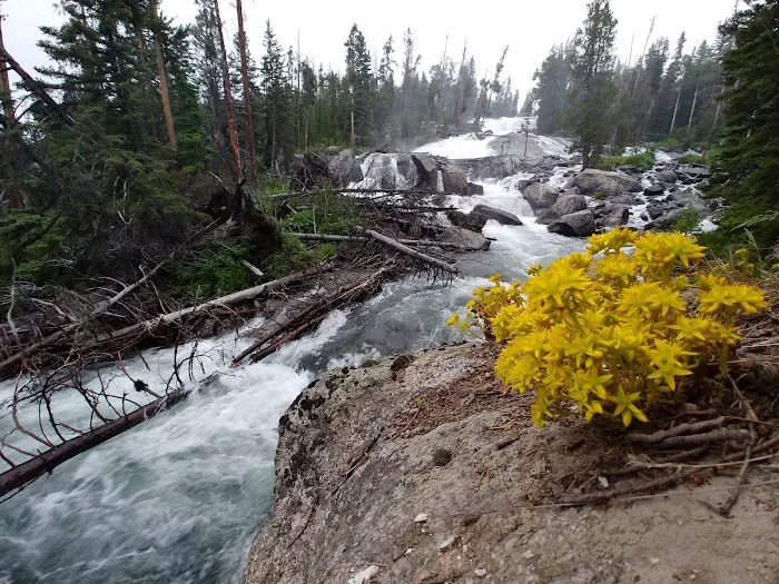 Crazy Creek Campground 9