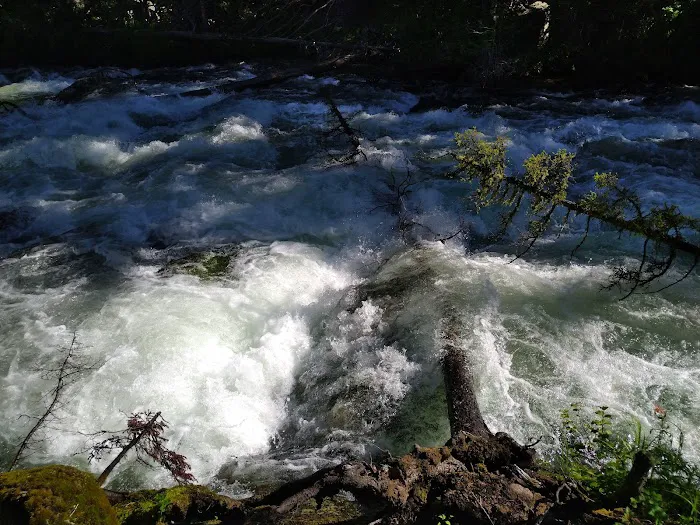 Crazy Creek Campground 8