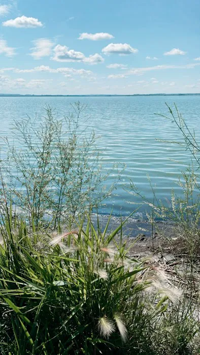 Ocean Lake WHMA Northwest Campground Area 1