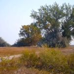 Ocean Lake WHMA Northwest Campground Area