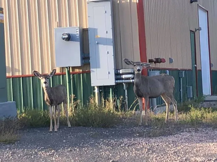 Goose Landing LLC 3
