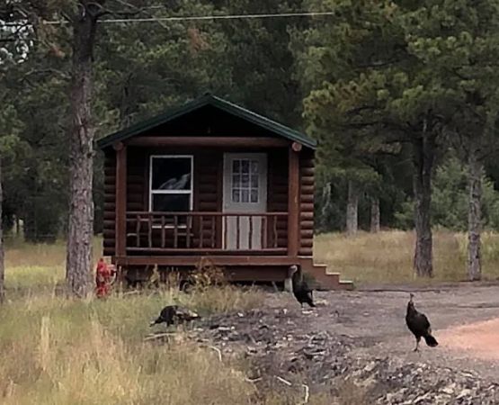 Goose Landing LLC