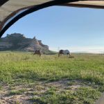 Peaceful Prairie Campsites