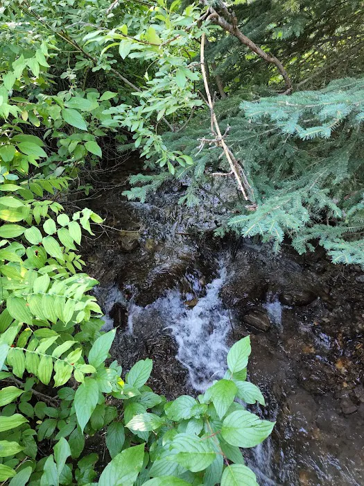 Bear Creek Campground and Picnic area 5