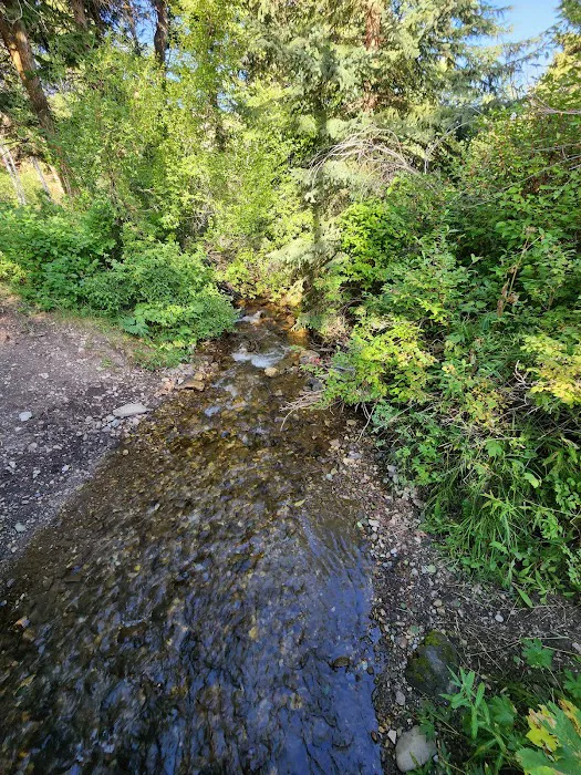 Bear Creek Campground and Picnic area 6