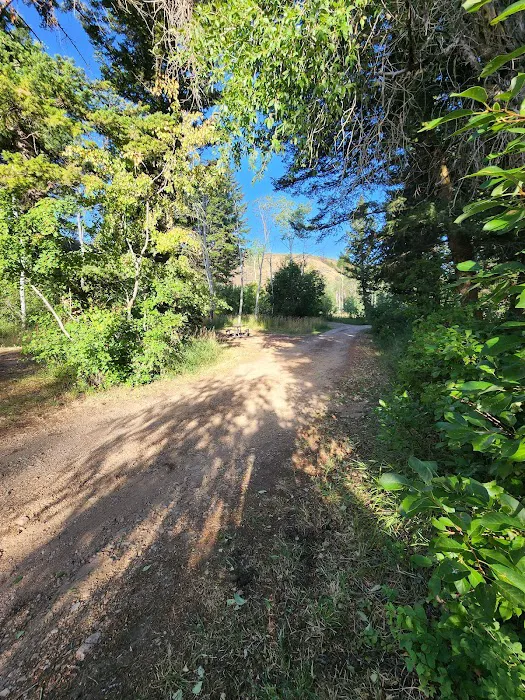 Bear Creek Campground and Picnic area 8