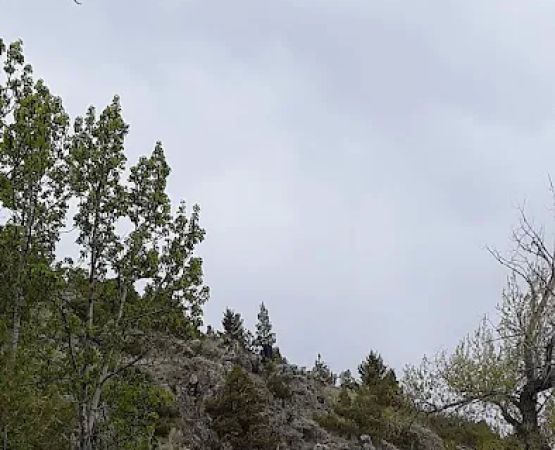 Crow Creek BLM Camp Ground