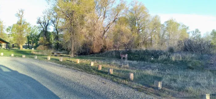 Indian Road Campground 6