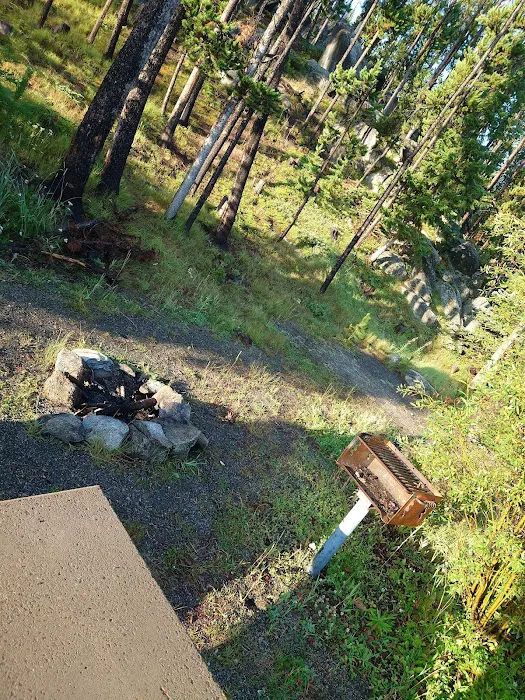 Beaverdam Campground and Picnic Area 7