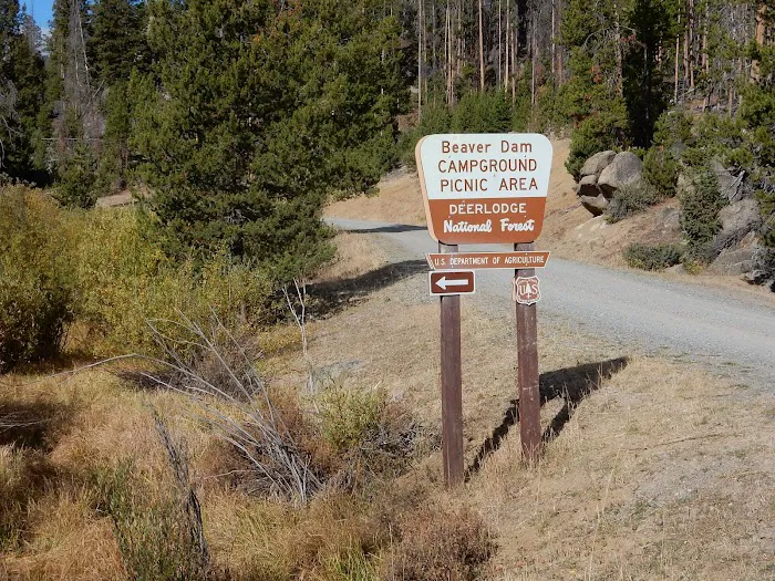 Beaverdam Campground and Picnic Area 6