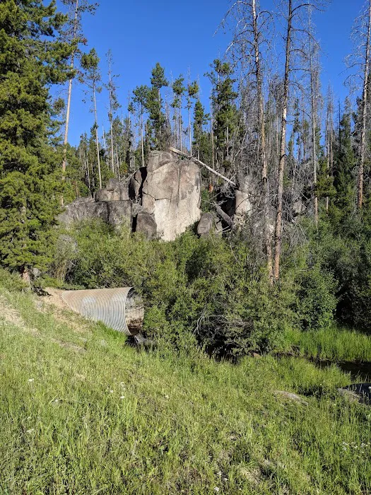 Beaverdam Campground and Picnic Area 8