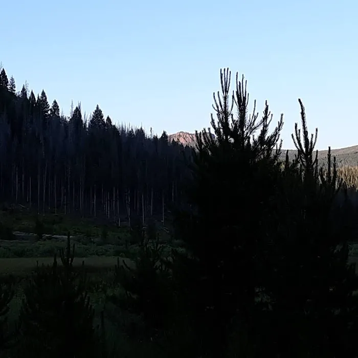 Lowland Campground 2