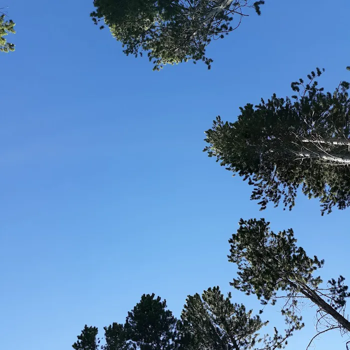 Lowland Campground 1