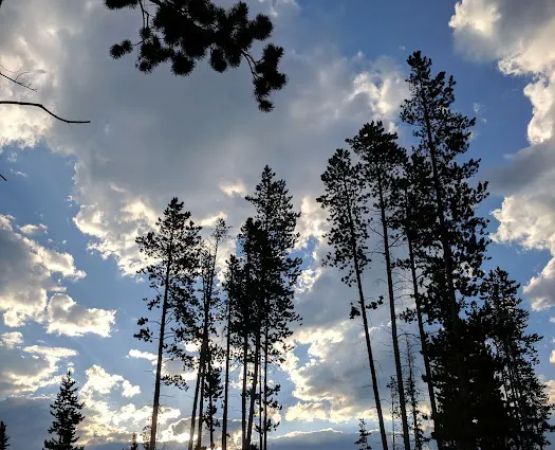 Lowland Campground