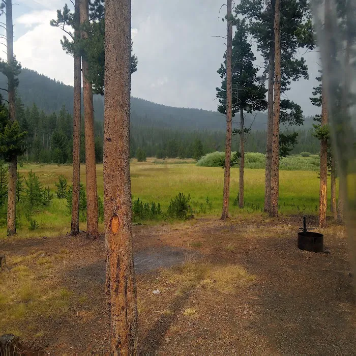 Lowland Campground 8