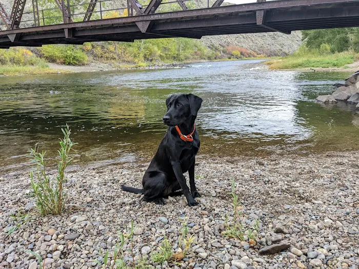 Browne's Bridge Campground 0