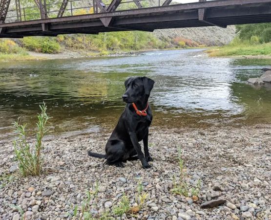 Browne's Bridge Campground