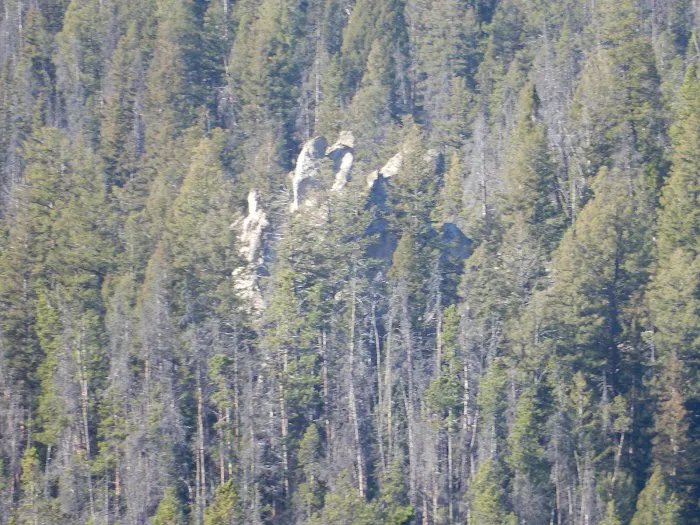 Whitehouse Campground and Picnic Area 0